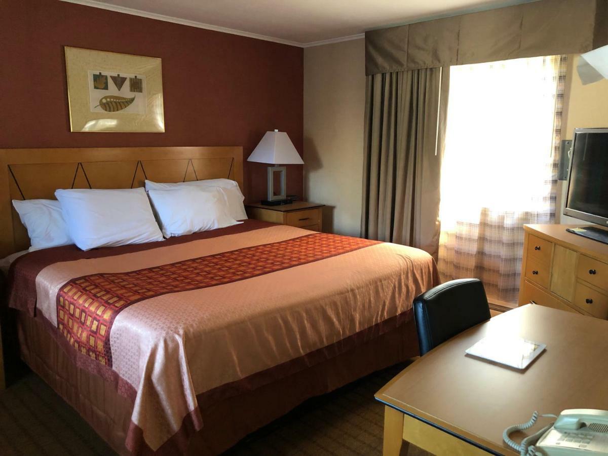 Wilbraham Inn Ludlow Extérieur photo